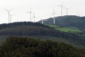 Eucalyptus forest and wind farm in Galicia (photo: campogalego.es)